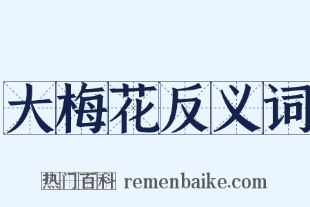 大梅花反义词是什么意思的图片